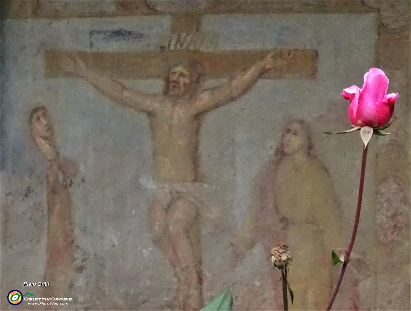 98 Alla contrada Acquada rosa al rustico affresco della crocifissione su  parete di casa contadina.JPG